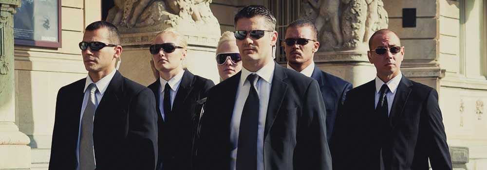 座头鲸|人类会保护其他动物，动物也会保护别的动物吗？为什么？