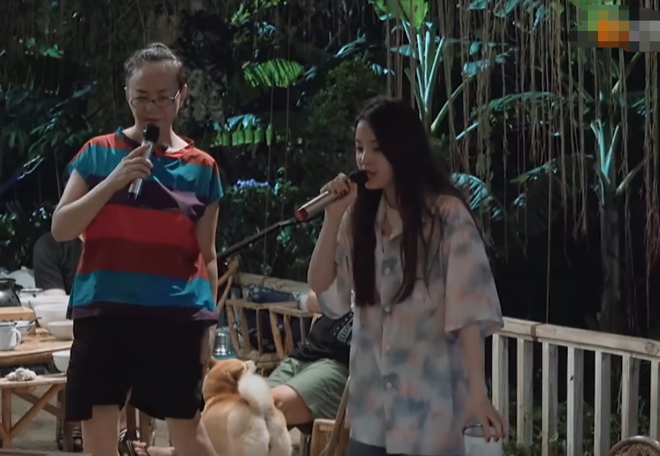 向往4|《向往4》放大招，最让观众期待的嘉宾回归了，收视率爆棚的节奏！