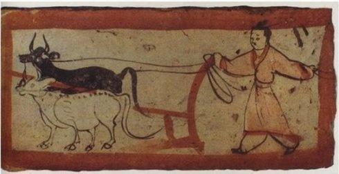 水稻|黍为什么没有像小麦、水稻一样成为现代人主粮？