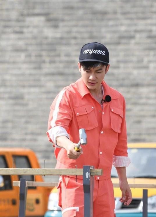 李晨|李晨又被嘲？节目用“最那个的人”描述柳岩，女方高情商反应获赞