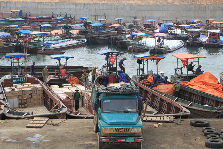 对虾|对虾，病毒，和中国人的全球化