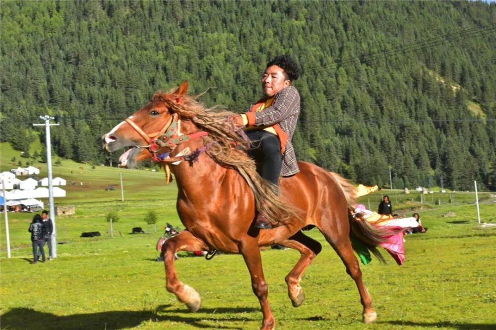 康巴汉子扎堆娇俏美女聚集农牧民盛会嗨翻了雅江天山牧场