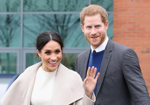 英国王室|疫情危机下英国王室成员民众喜爱度的重新洗牌 女王不再是最受欢迎的成员？