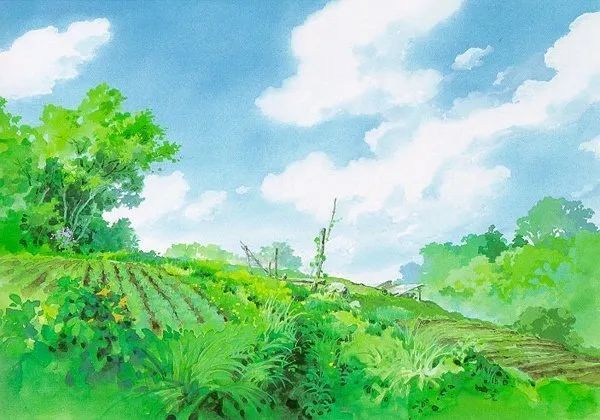 宫崎骏|宫崎骏的御用颜料我不允许我的宝贝们还不知道！