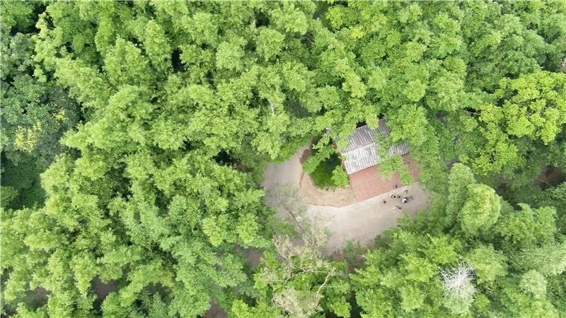 北流市|“入窑一色，出窑万彩” 一个古老的柴窑在北流这个村得到传承