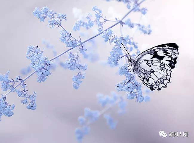 散文诗|离别，生命里凄艳凄迷的痛