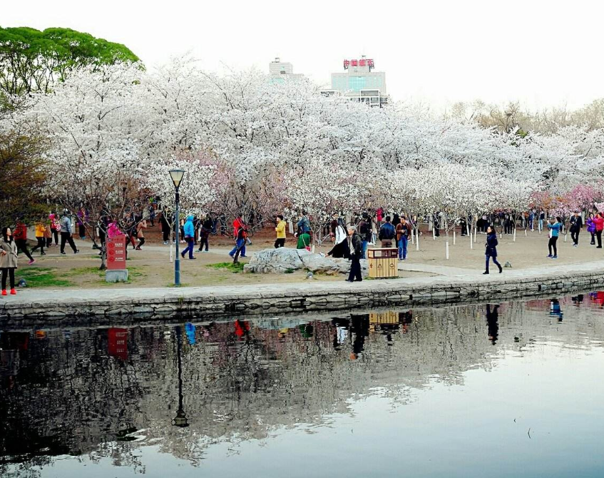 公园|北京最“低调”的公园，有“首都江南”之称，门票仅2元景色不输北海