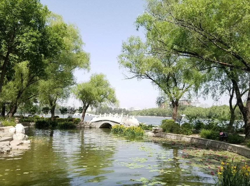 公园|北京最“低调”的公园，有“首都江南”之称，门票仅2元景色不输北海