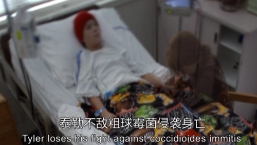 头皮发麻|看到隐藏在人体内的虫子，我感受到了头皮发麻