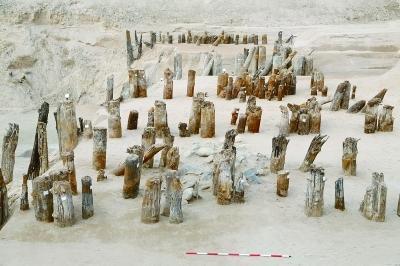 陕西|陕西老汉挖沟时得到4个罐子，被孩子当作夜壶，专家：10万元买了