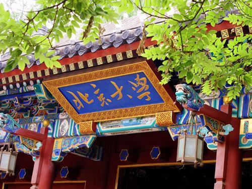 清华北大成了美国的人才培养基地你怎么看