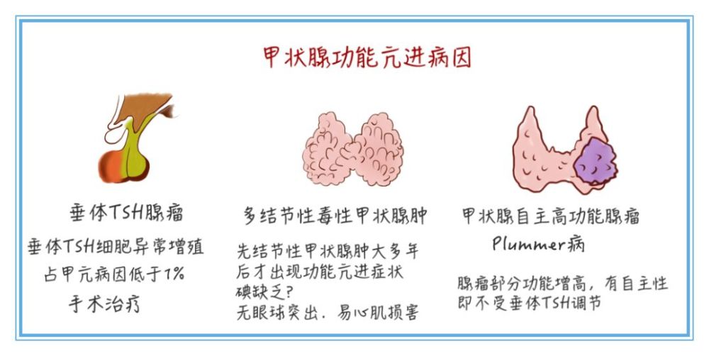 包租婆突然变身大胃王竟还瘦出小蛮腰小心是甲亢