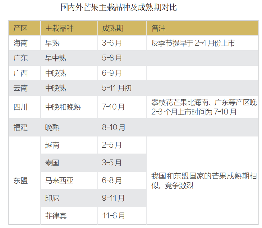 百色芒果 黄金产业下 繁荣与隐忧并存 腾讯新闻