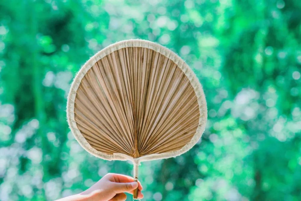 团扇|小扇引微凉，悠悠夏日长——趣话“扇子诗”