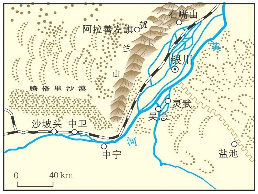 在我國主要分佈在西北地區的河套平原,寧夏平原和河西走廊,主要農作物