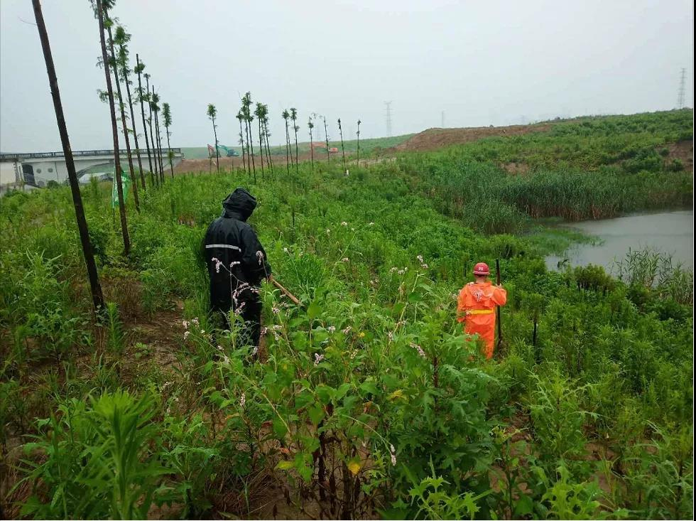 许贵村组织人员在十五里河道巡查渗漏