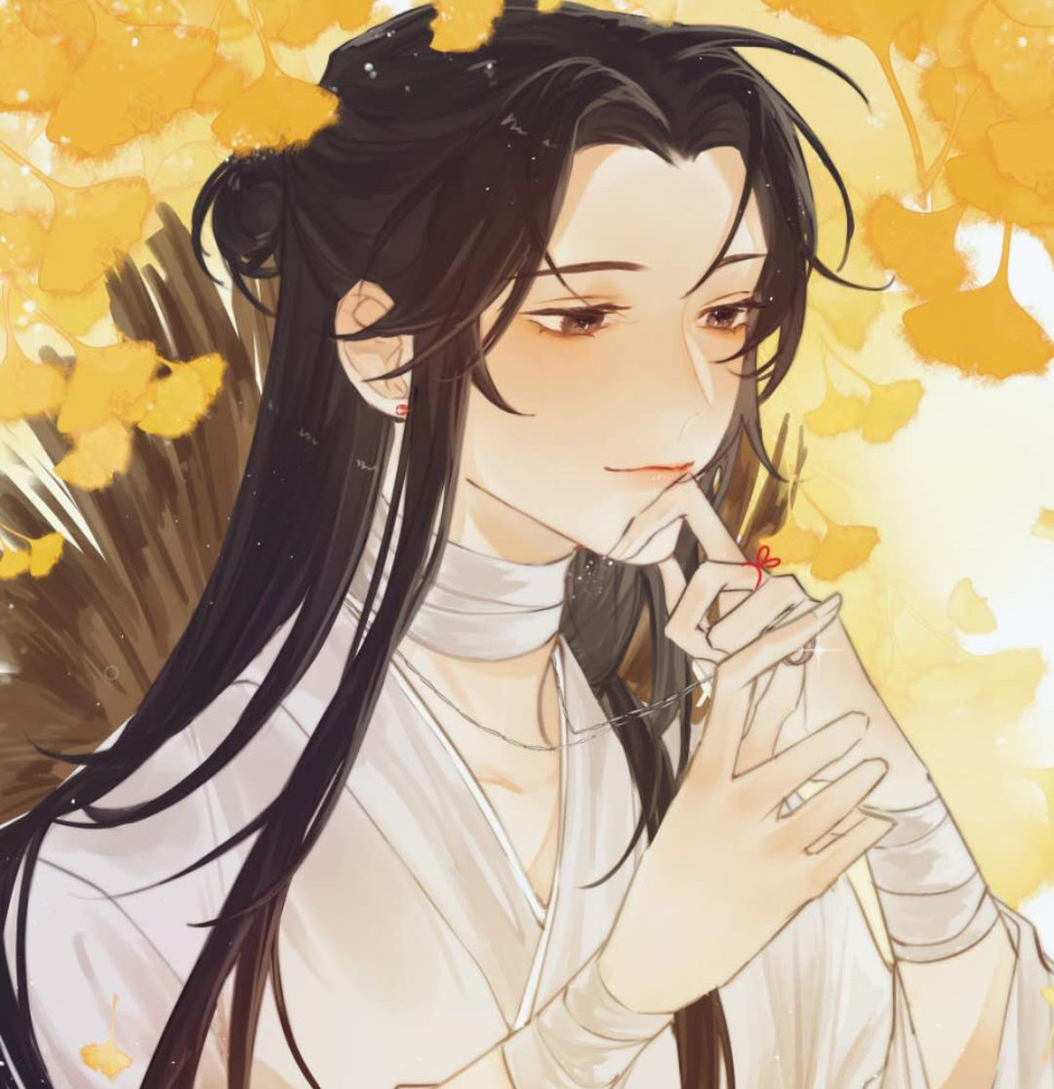 如果要找出一个最了解最关心谢怜的人,那么这个人不是风信,也不是慕情