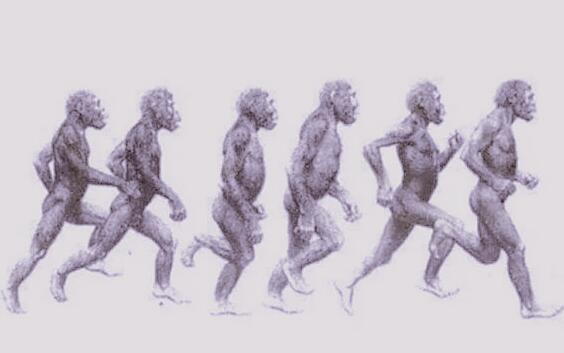 地球|长知识了，原来人类的长跑能力这么强，甚至连马都曾经败给人类