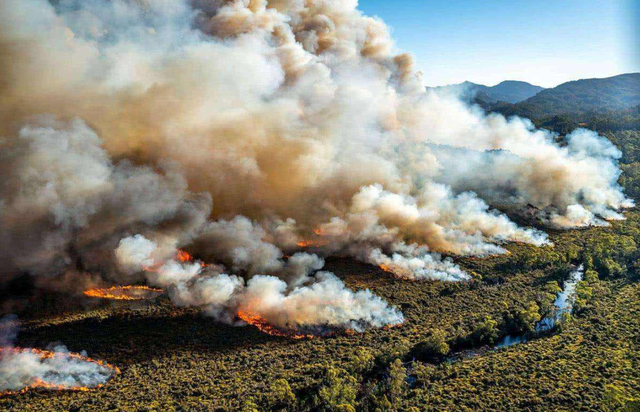 灭绝|物种灭绝加速并且已经“发飙”？世界末日真的会来到吗？