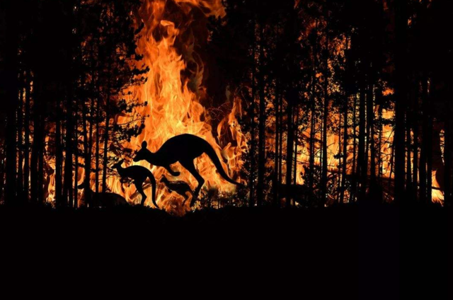 灭绝|物种灭绝加速并且已经“发飙”？世界末日真的会来到吗？