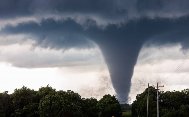 灭绝|物种灭绝加速并且已经“发飙”？世界末日真的会来到吗？