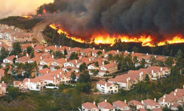 灭绝|物种灭绝加速并且已经“发飙”？世界末日真的会来到吗？