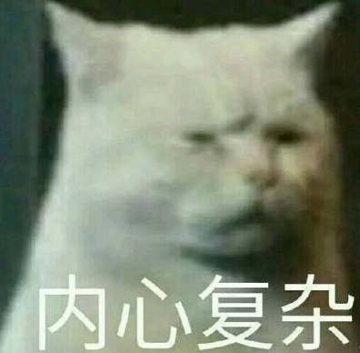 刘诗诗|腿比杨幂美、气质盖过刘诗诗的她，凭什么给黄圣依提鞋？