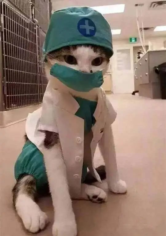 刘诗诗|腿比杨幂美、气质盖过刘诗诗的她，凭什么给黄圣依提鞋？