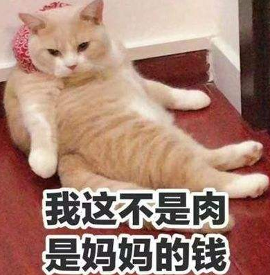 刘诗诗|腿比杨幂美、气质盖过刘诗诗的她，凭什么给黄圣依提鞋？