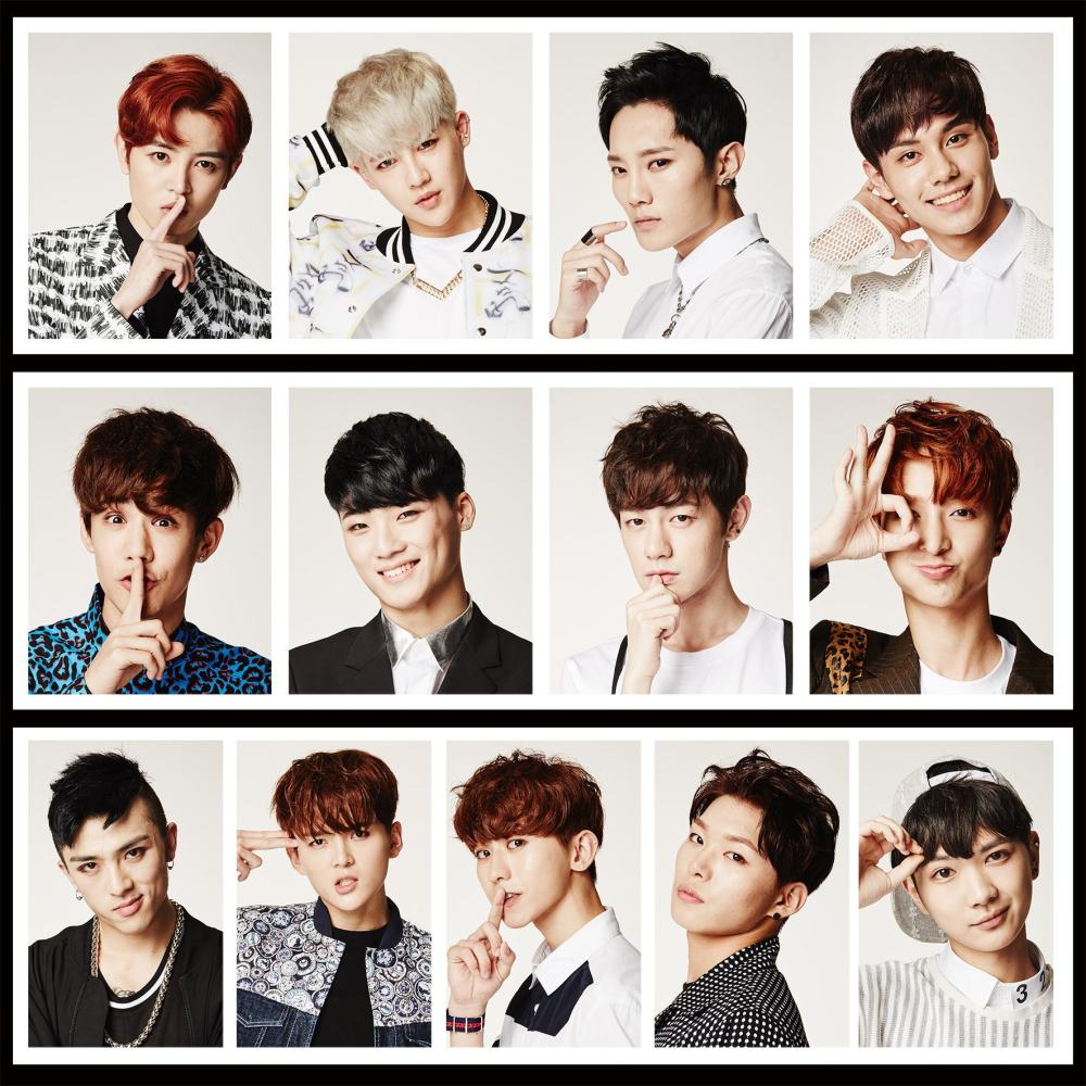 公司,并且在隔年也就是2016年与刘也,赵品霖等10人组成男子组合swin