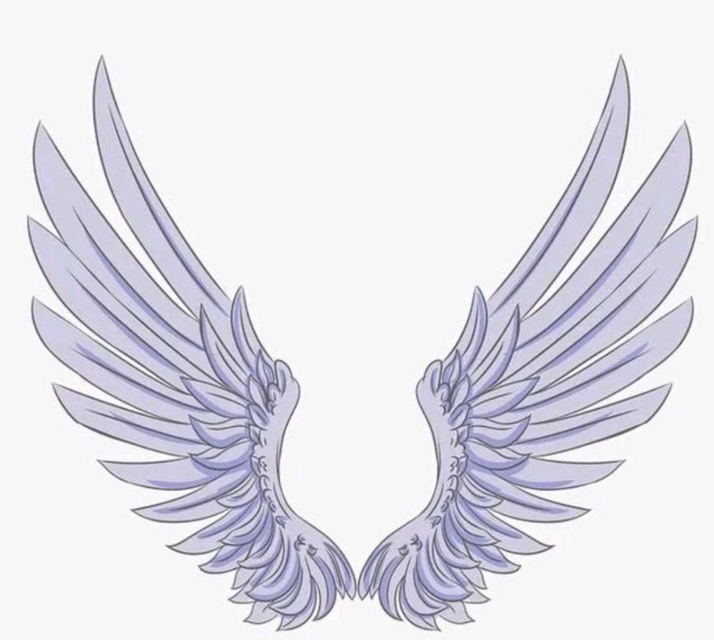 假如你会飞你会选择哪双翅膀测你哪一点最讨人喜欢呢