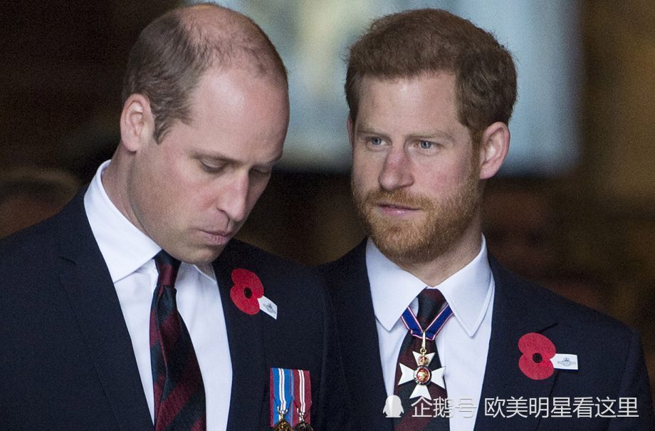 威廉王子|威廉王子追求极致，为了成为“国王”就算要抛弃家人也认了