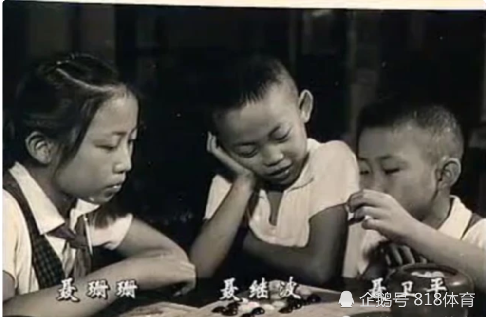 聂卫平|聂卫平弟弟8岁拿北京市冠军他第3，陈老总却看好他，派老师去学校教