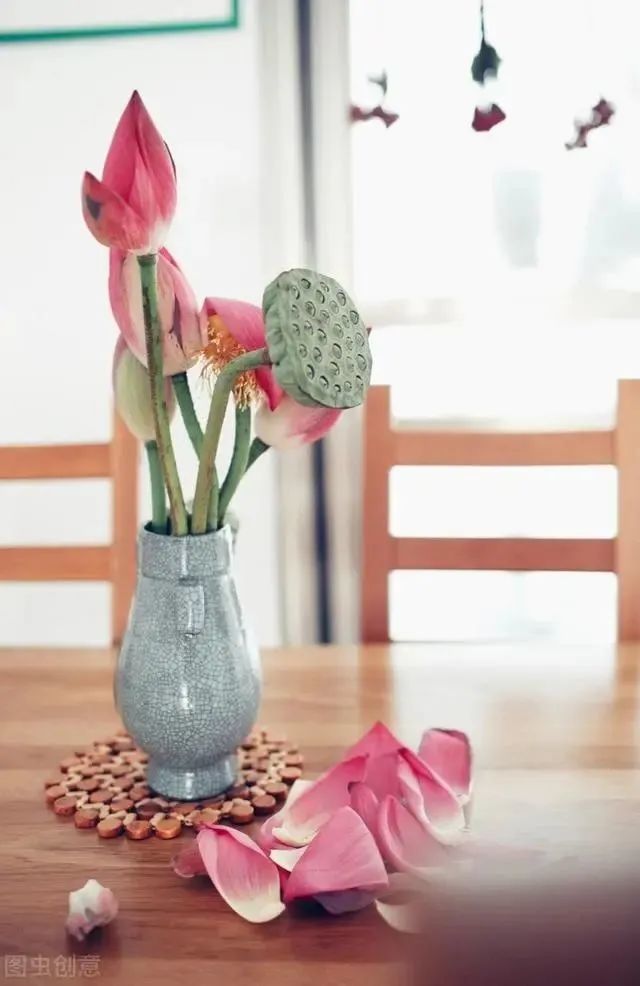 荷花|也许荷花不知道，自己就是夏天