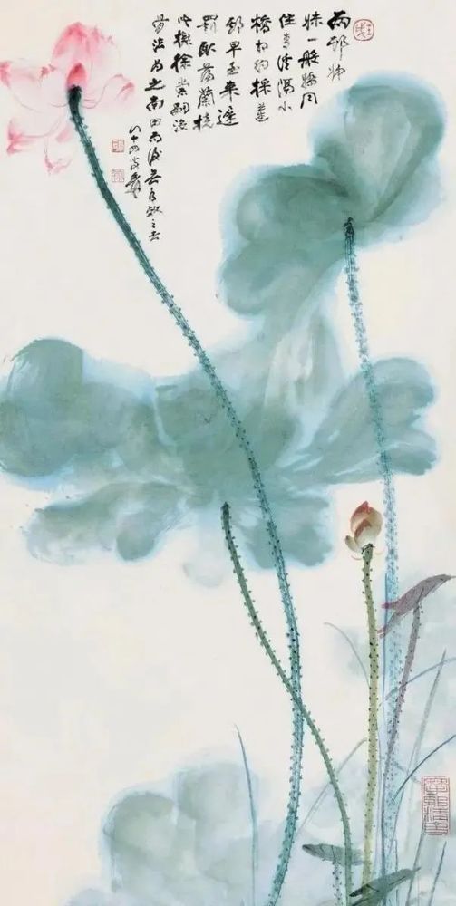 荷花|也许荷花不知道，自己就是夏天