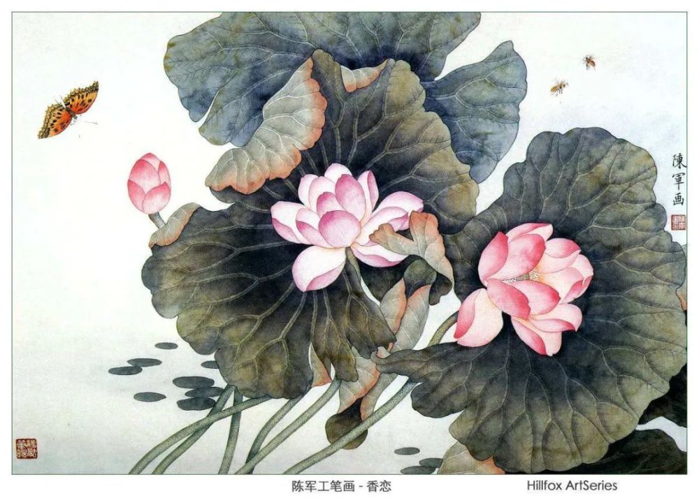 荷花|也许荷花不知道，自己就是夏天