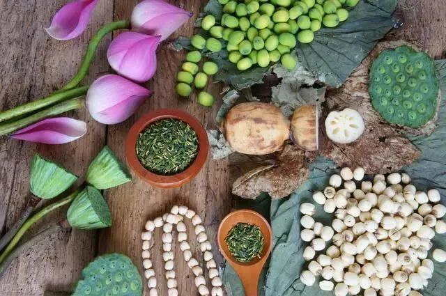 荷花|也许荷花不知道，自己就是夏天