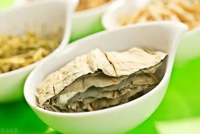 荷花|也许荷花不知道，自己就是夏天