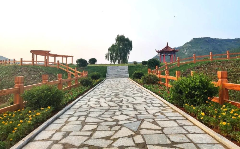临朐冶源镇新建了一个荷塘月色休闲观光区
