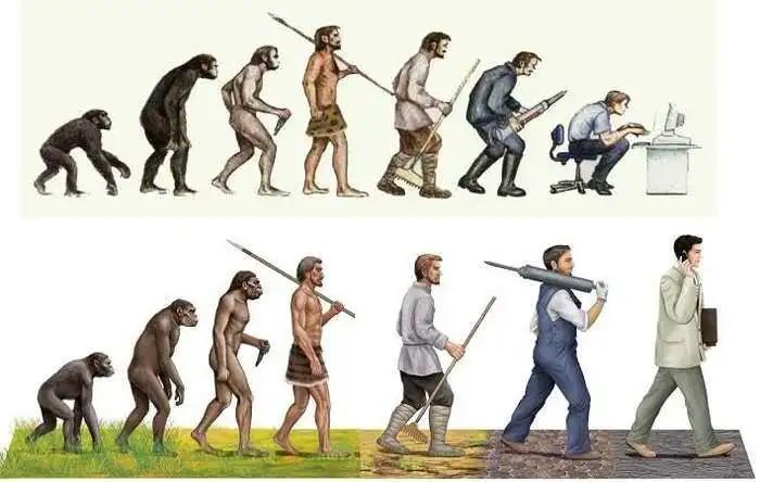 生物进化论|从生物进化论的角度看球技的进步