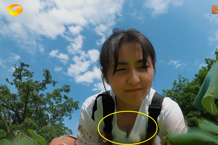 张子枫下田挖藕忘了水下镜头弯腰一刻领子突然变大导演紧急救场遮挡住