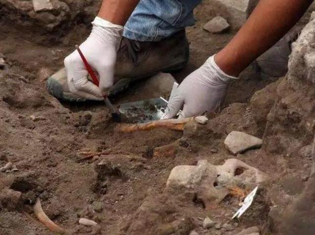 乌龟|河南村民钓到一只“乌龟”，背上插着4支箭，专家：这一竿值18亿