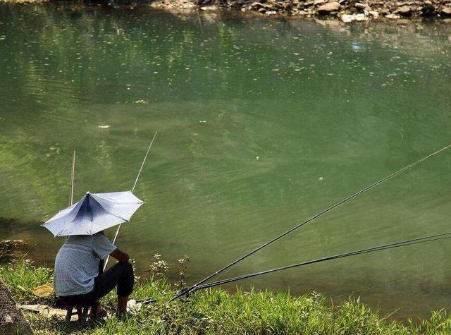 乌龟|河南村民钓到一只“乌龟”，背上插着4支箭，专家：这一竿值18亿