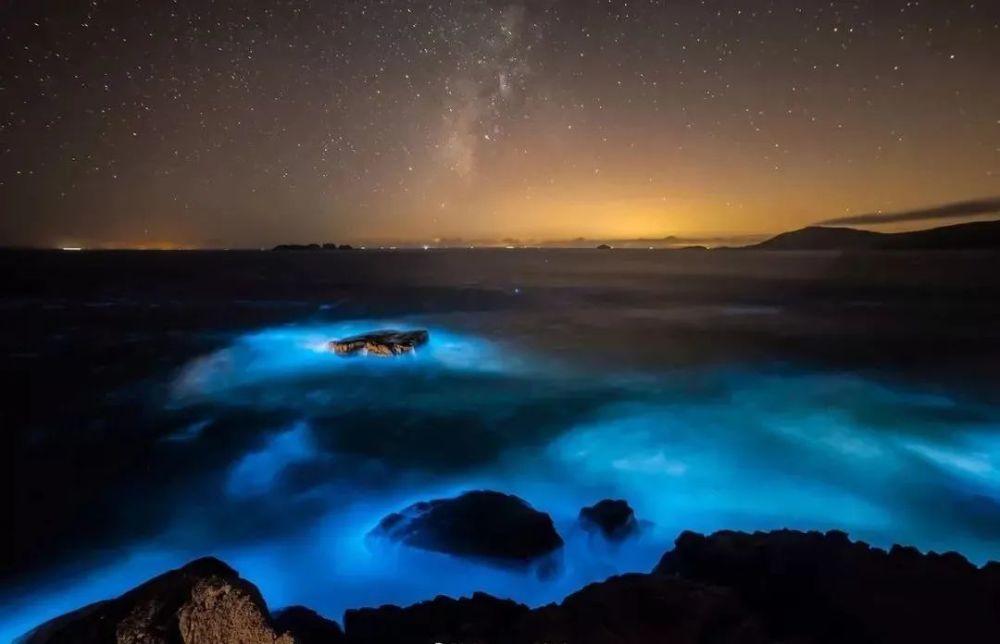 蓝眼泪|蓝眼泪震撼爆发，堪称“海上萤火虫” 仅生存几十秒