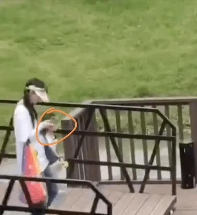 郑爽|郑爽再翻车？“假喝”遭杨迪当场揭穿太尴尬，综艺划水已不止一次