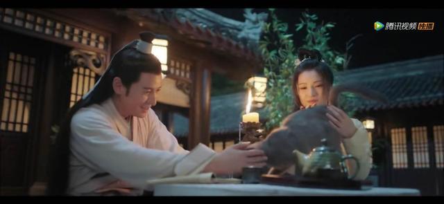 美人皮|这位聊斋猫妖的一往情深，是大多数世人所不及，被这个故事感动哭