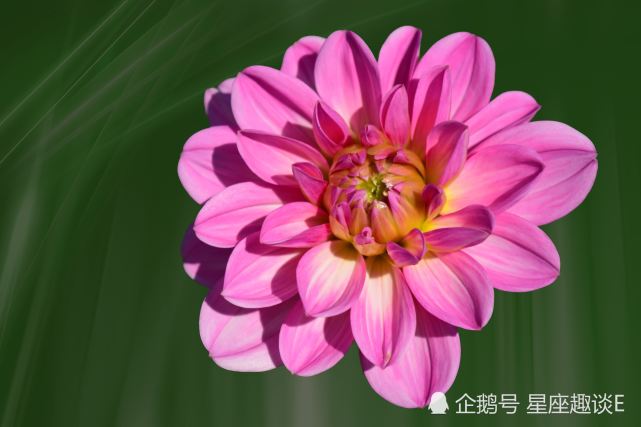 7月日 26日星座运势 白羊深思熟虑 天秤脚踏实地 双鱼保持理智 腾讯网