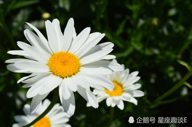 7月日 26日星座运势 白羊深思熟虑 天秤脚踏实地 双鱼保持理智 腾讯网