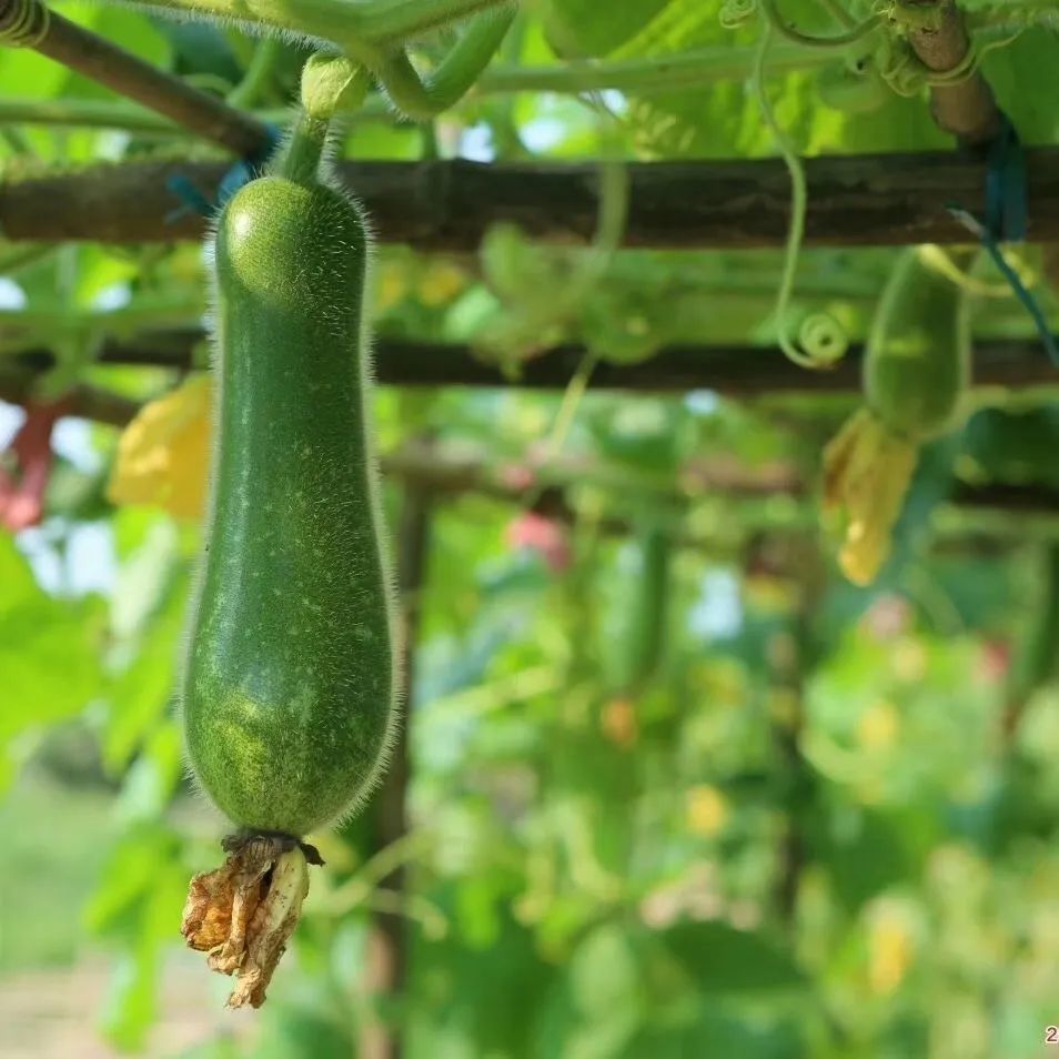 热热热 佛山这些美食让你清凉一夏 腾讯新闻