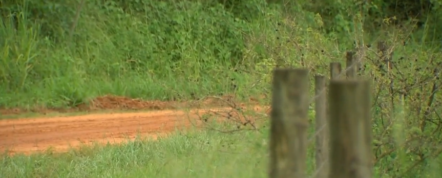 格雷迪·贾德|三名男子到湖边夜钓全部惨遭杀害，凶案现场令人毛骨悚然